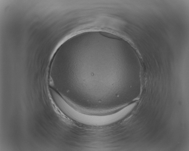 X0000051241530200507011613