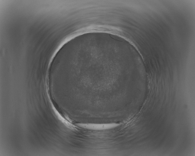 X0000051241531200507011613