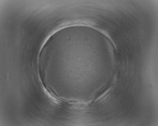 X0000051241532200507011613