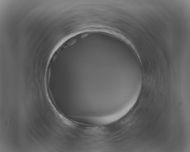 X0000051241533200507011613