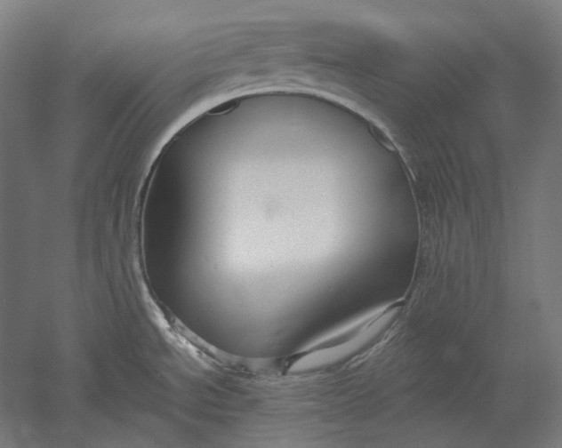 X0000051241534200507011613