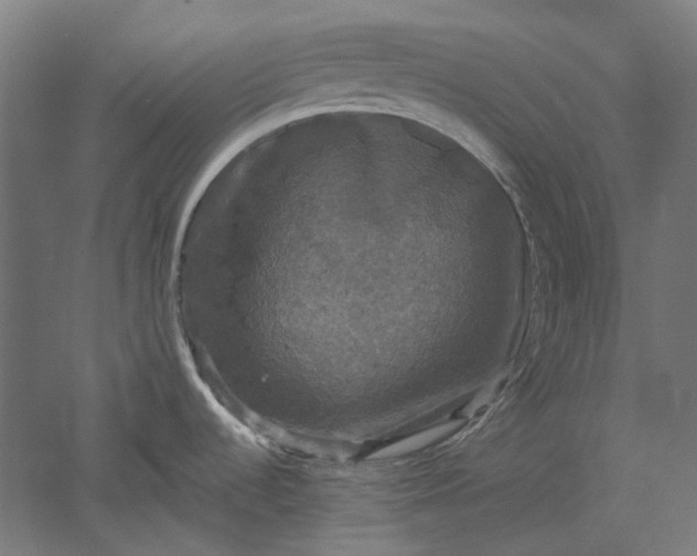 X0000051241536200507011613