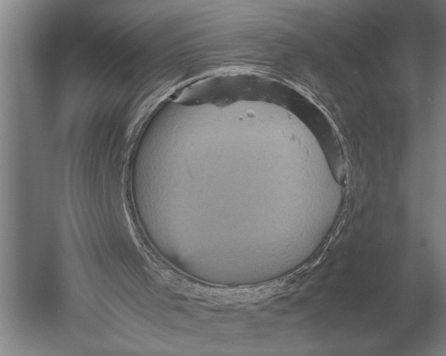 X0000051240001200507082136