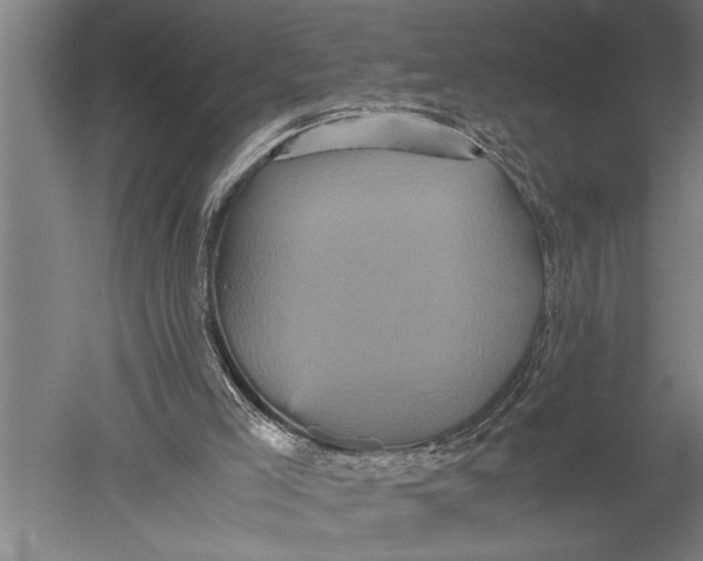 X0000051240005200507082136