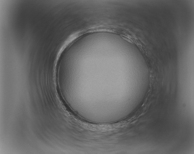 X0000051240006200507082136