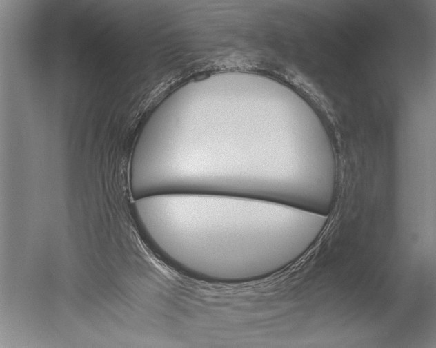 X0000051240009200507082136