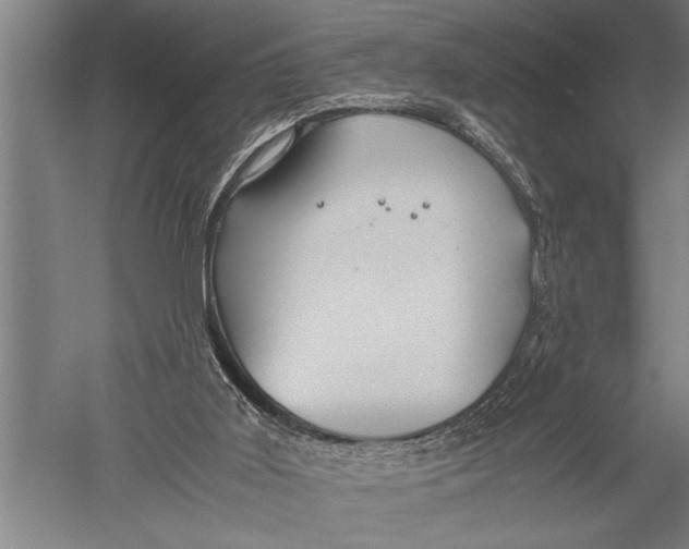 X0000051240011200507082136