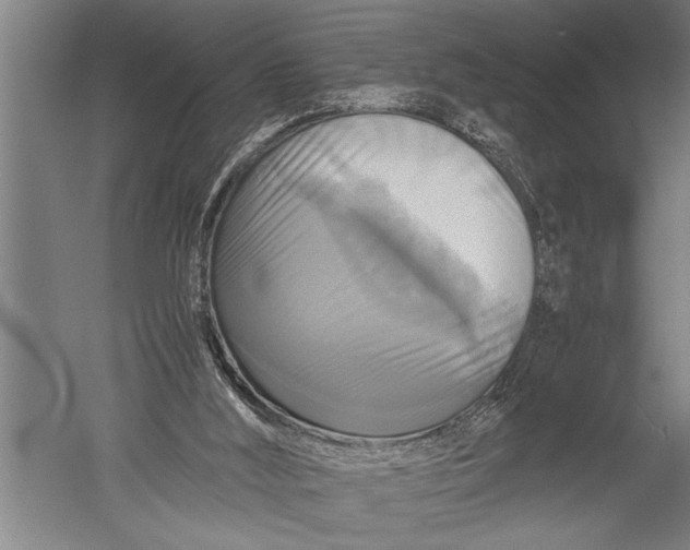 X0000051240012200507082136