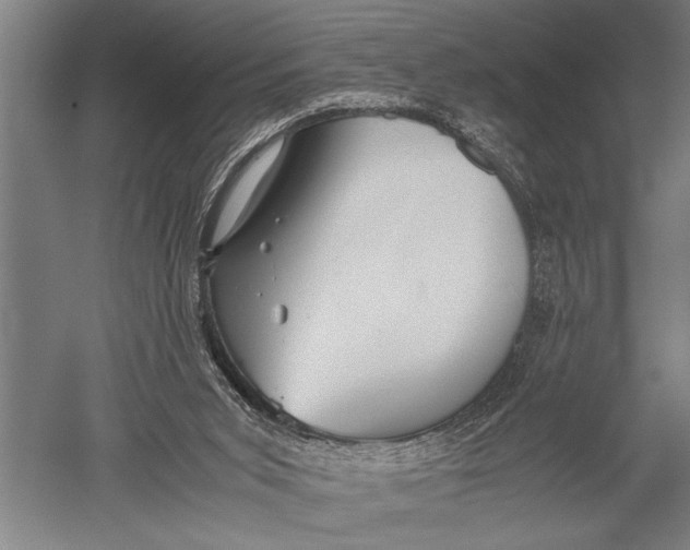 X0000051240015200507082136