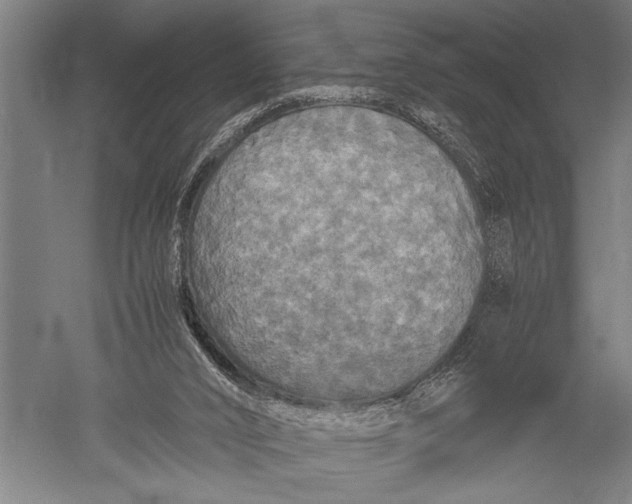 X0000051240016200507082136