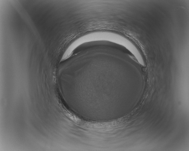 X0000051240017200507082136