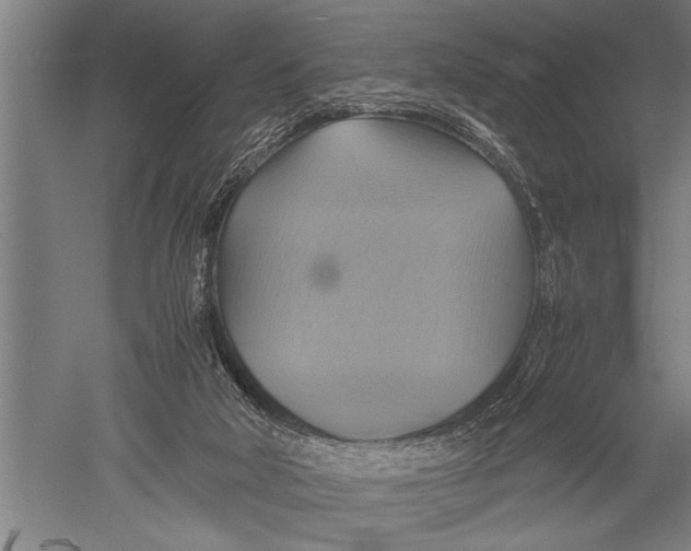 X0000051240018200507082136