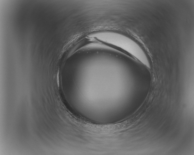 X0000051240019200507082136