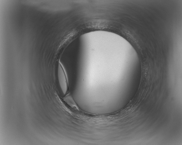 X0000051240020200507082136