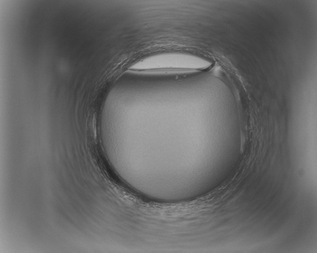 X0000051240021200507082136