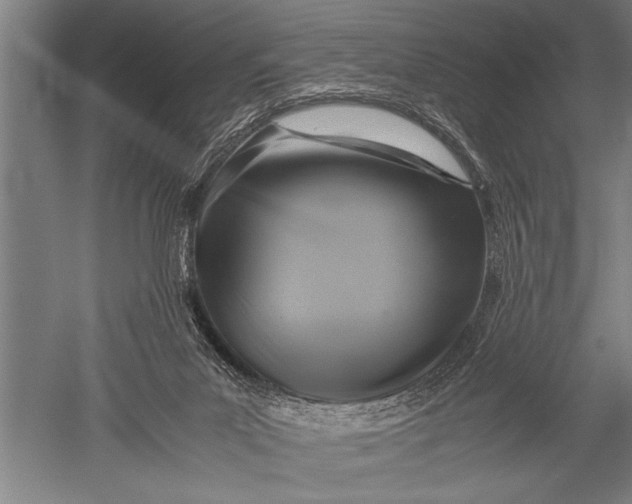 X0000051240023200507082136