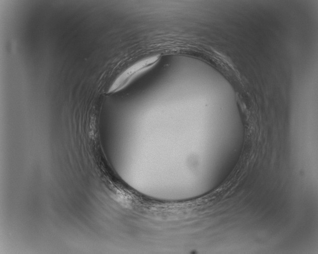 X0000051240025200507082136