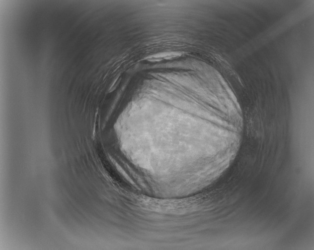 X0000051240026200507082136