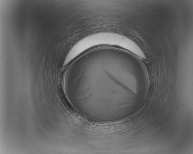 X0000051240029200507082136