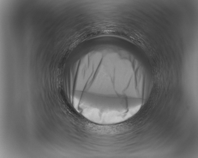 X0000051240030200507082136