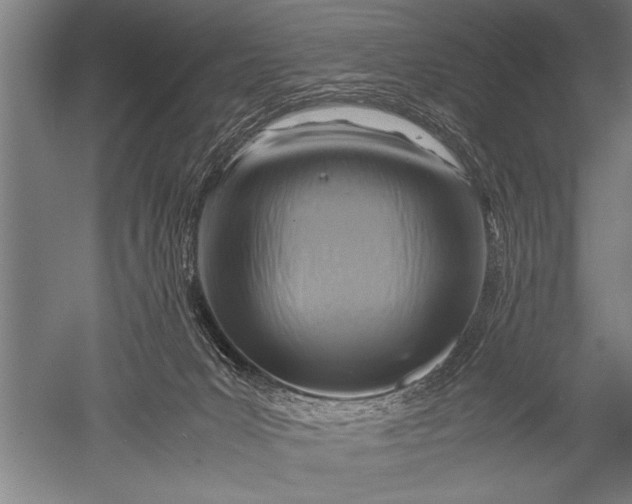 X0000051240031200507082136