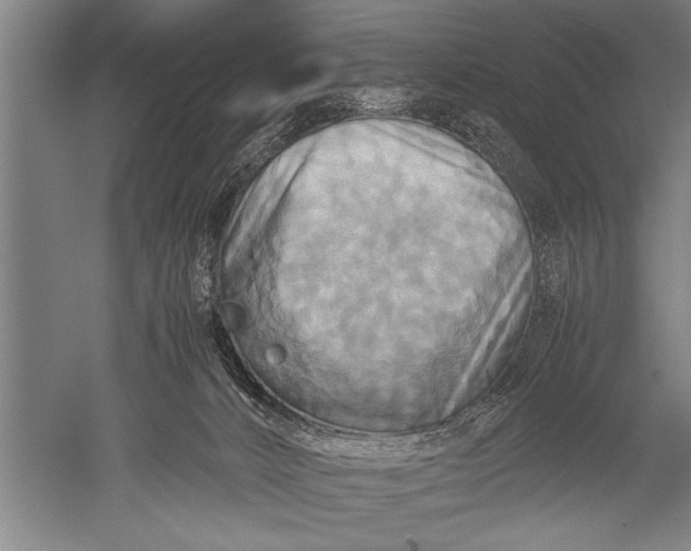 X0000051240032200507082136