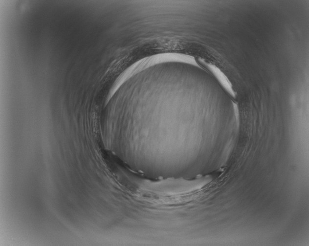 X0000051240035200507082136