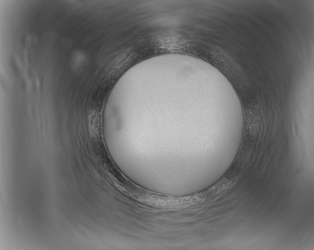 X0000051240036200507082136