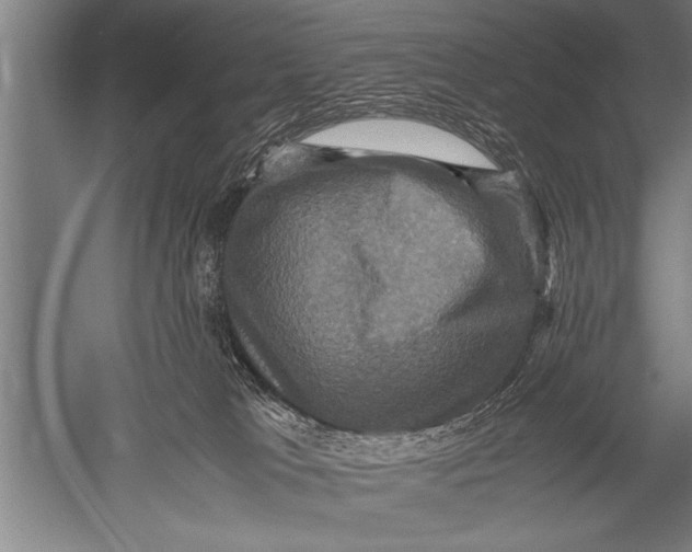 X0000051240037200507082136