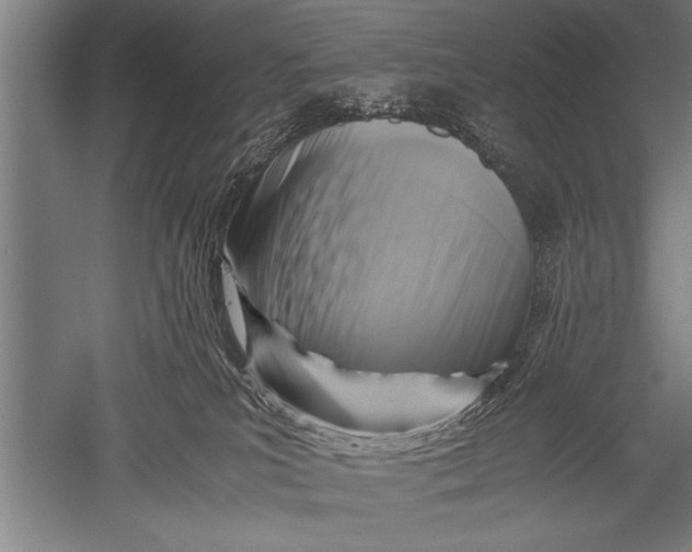 X0000051240039200507082136