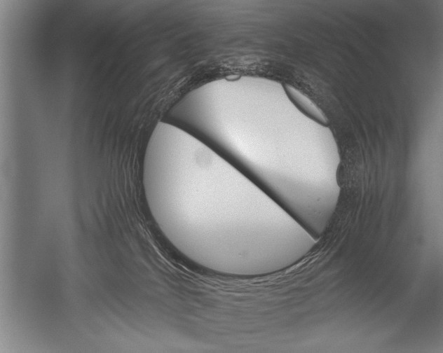 X0000051240040200507082136