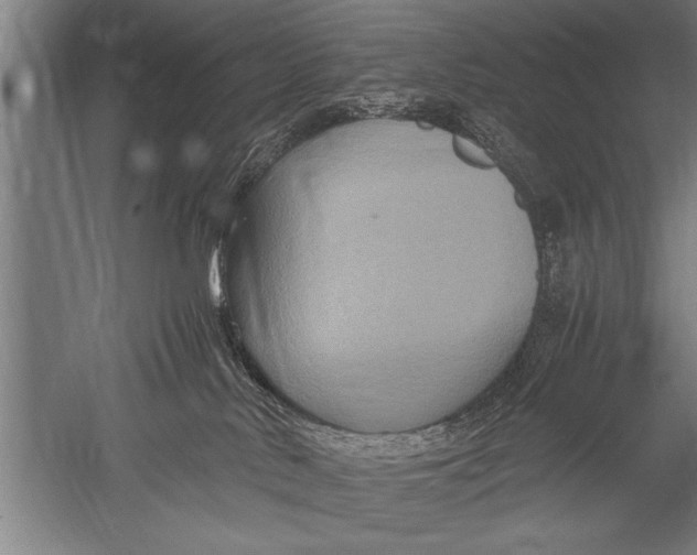 X0000051240042200507082135