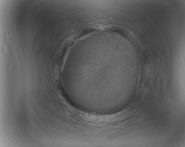 X0000051240043200507082135