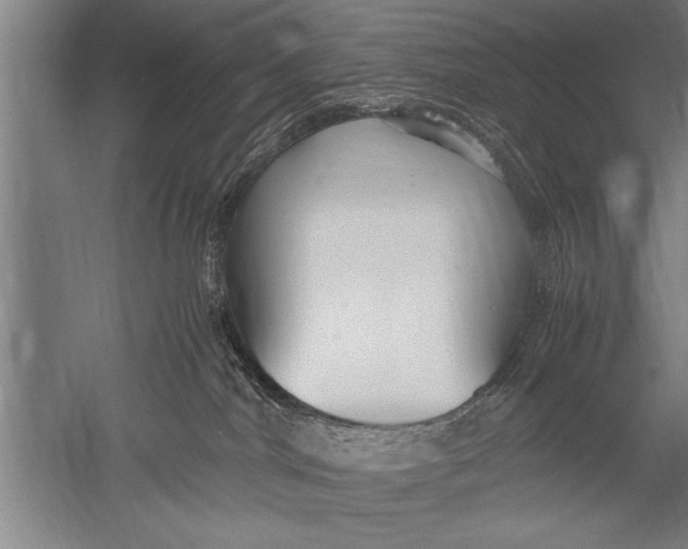 X0000051240044200507082135