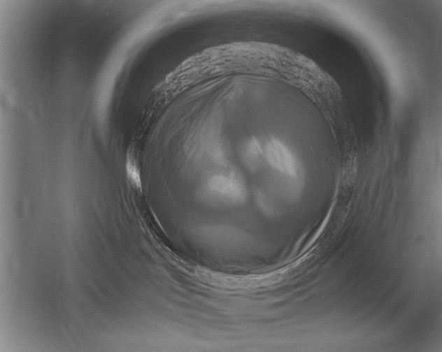 X0000051240047200507082135