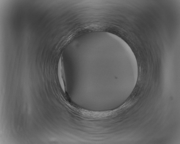 X0000051240048200507082135