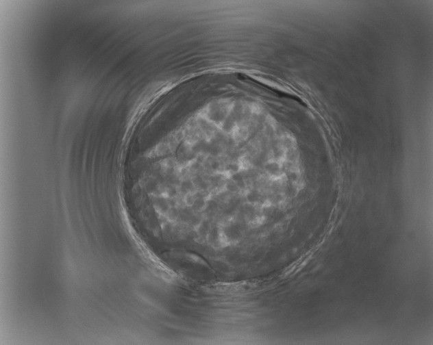 X0000051240049200507082135