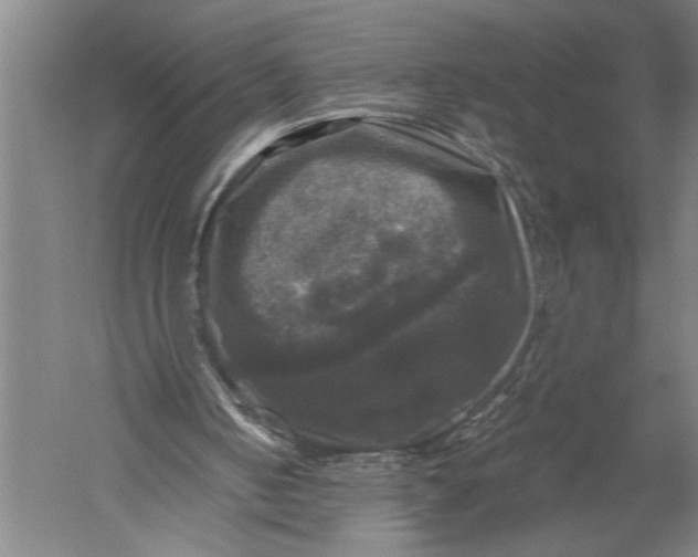 X0000051240050200507082135