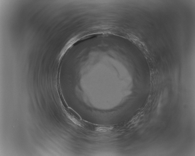 X0000051240051200507082135