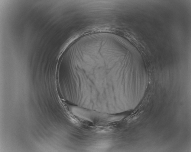 X0000051240052200507082135