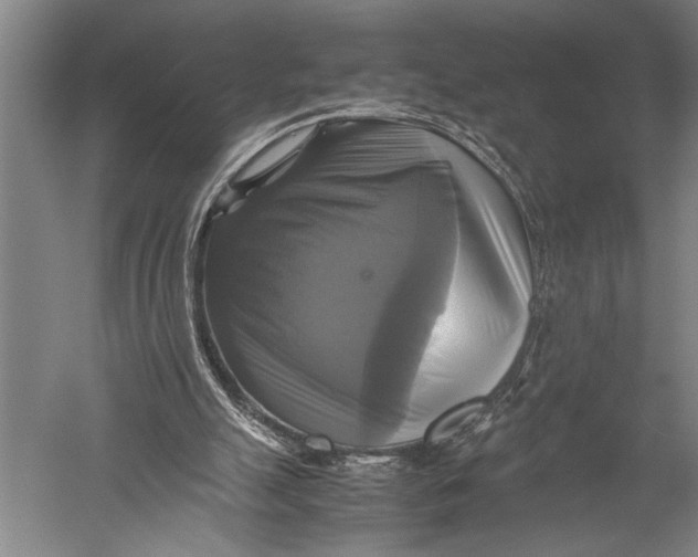 X0000051240055200507082135