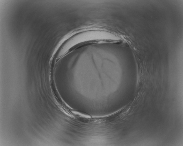 X0000051240056200507082135