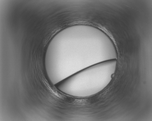 X0000051240057200507082135