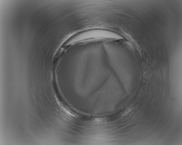 X0000051240060200507082135