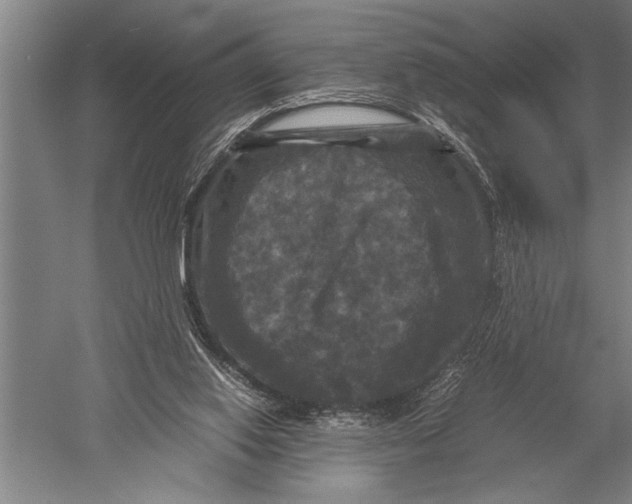 X0000051240062200507082135