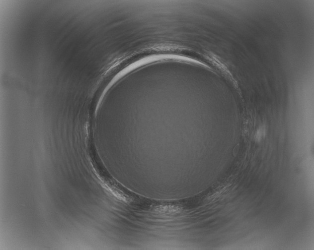 X0000051240063200507082135