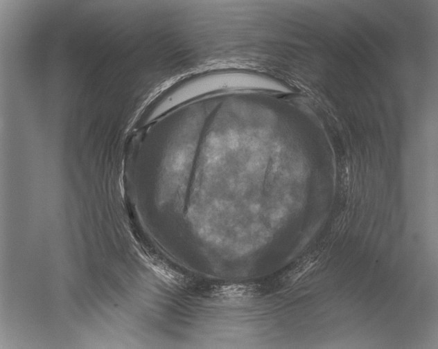 X0000051240064200507082135