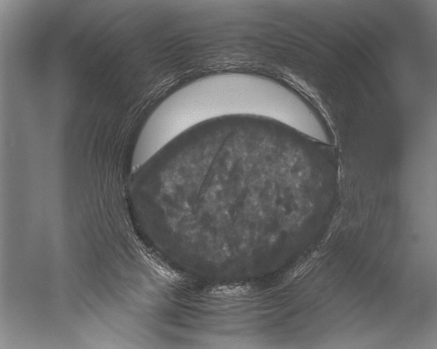 X0000051240065200507082135