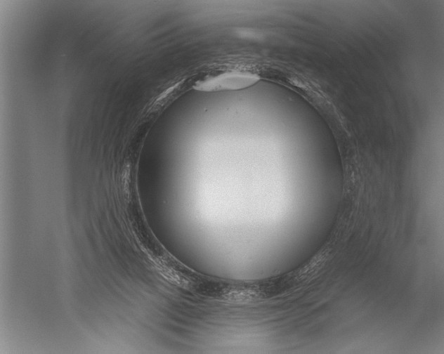 X0000051240066200507082135