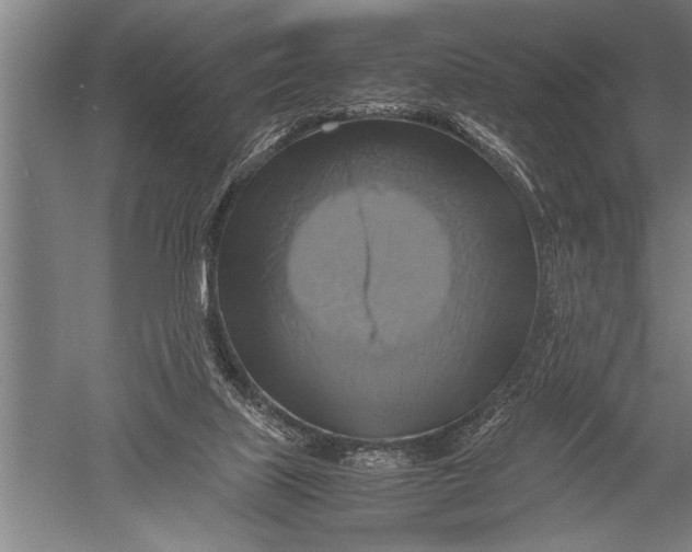 X0000051240067200507082135